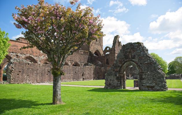 Sweetheart Abbey